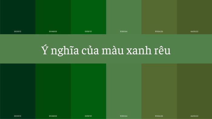 Những thông điệp ý nghĩa từ sắc xanh rêu